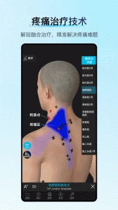 解剖大师