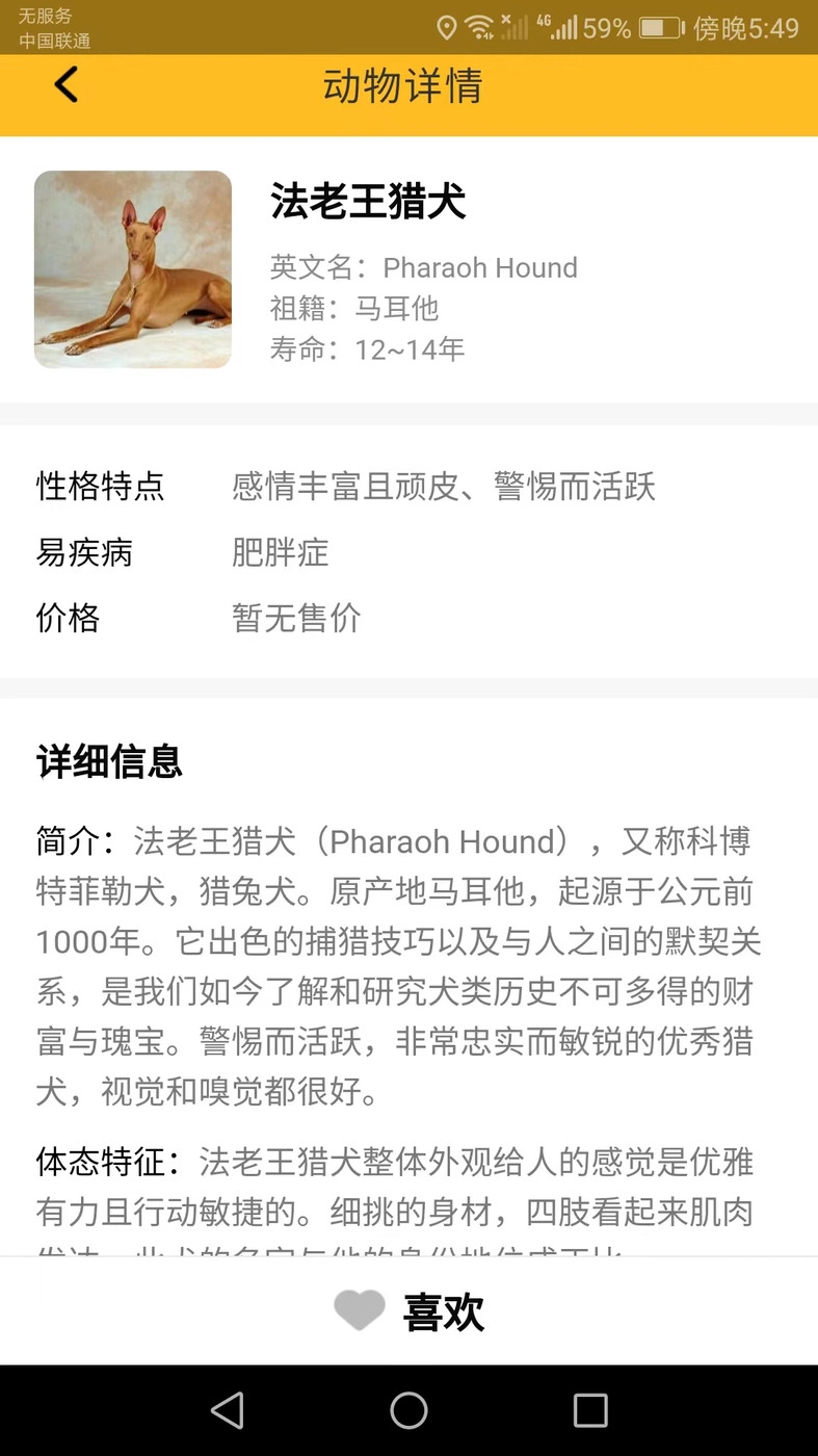 口袋乐看官方最新版