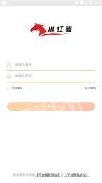 小红驹商户原版