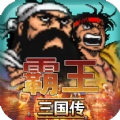 霸王三国传