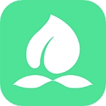 东桃到家最新版