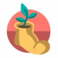 我的日常打卡手机版