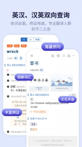 新世纪英汉汉英大词典软件安卓版图2
