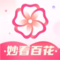 妙看百花直装版