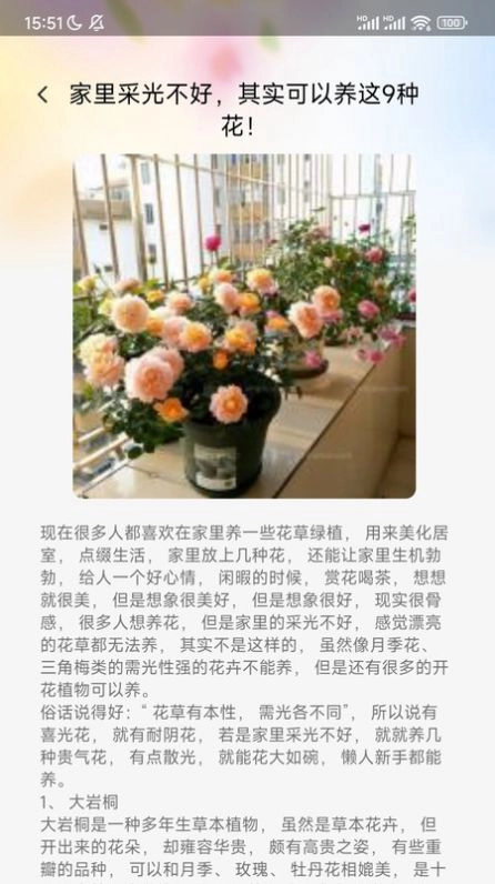妙看百花直装版