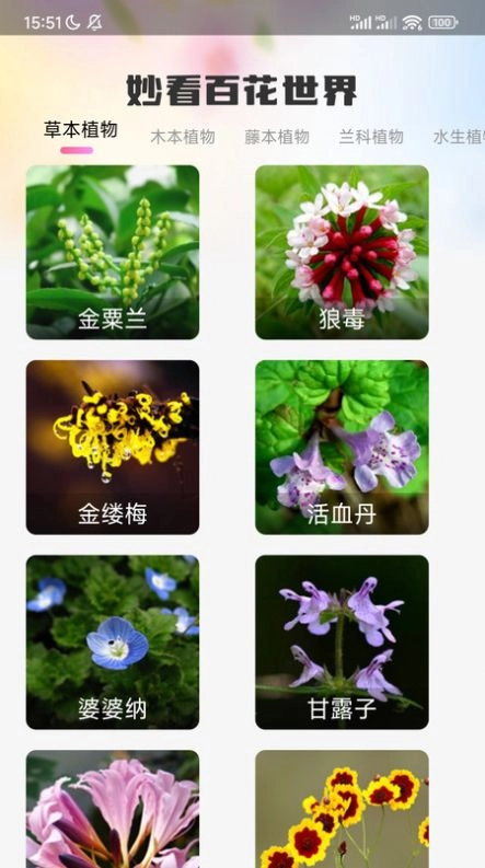 妙看百花直装版