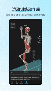 解剖大师