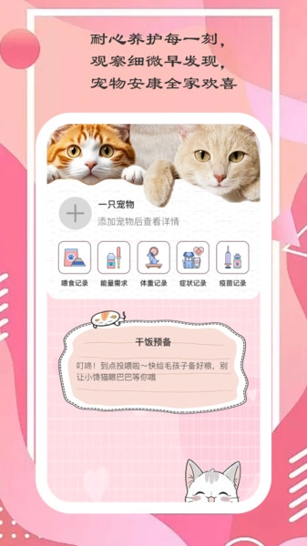 爱猫养成记原版