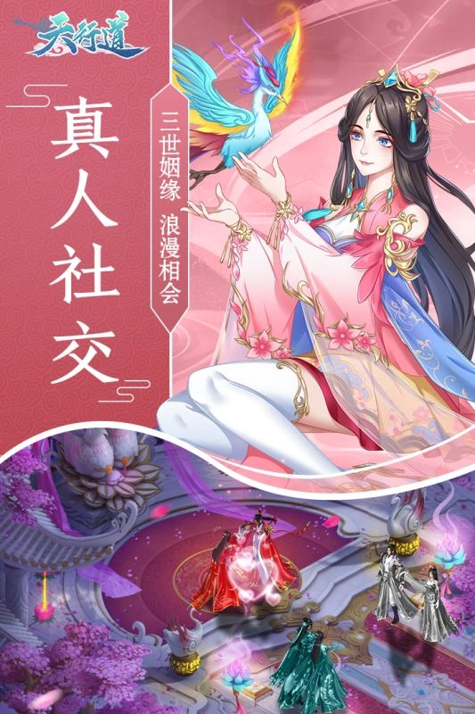 天行道H5最新版图2