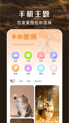 主题盒安卓官方版图3