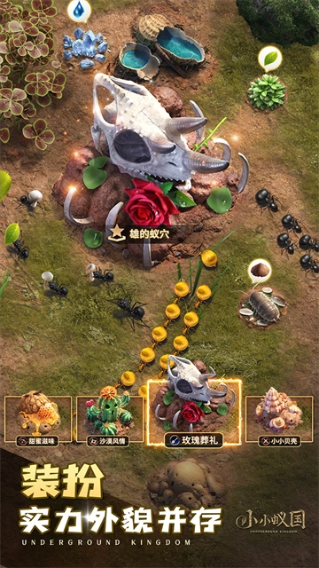 小小蚁国极速发育版