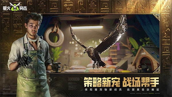 萤火突击渠道服官方版图2