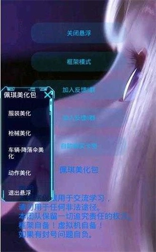 佩琪美化框架官方最新版图3