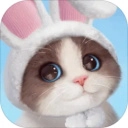 我和我的猫游戏纯净版