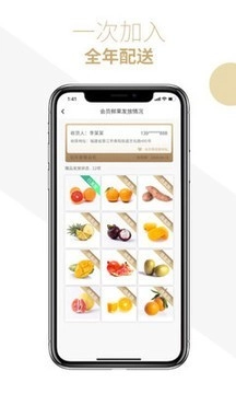 司令生鲜免费原版