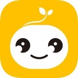 豆芽壳直装版