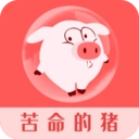 苦命的猪安卓版