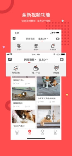 阿闻宠物手机正版图1