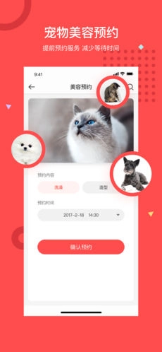 阿闻宠物手机正版图3