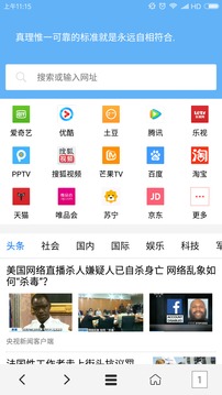 vip浏览器APP(1)