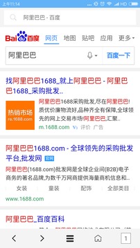 vip浏览器APP(3)