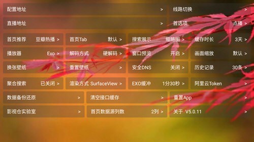 老虎视频电视盒子版(2)