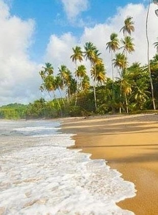 自然景观壁纸免费版下载