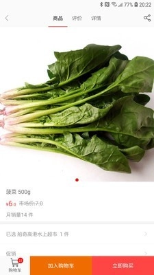 船奇网免费原版图3
