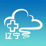 掌上云医辽宁安卓直装版