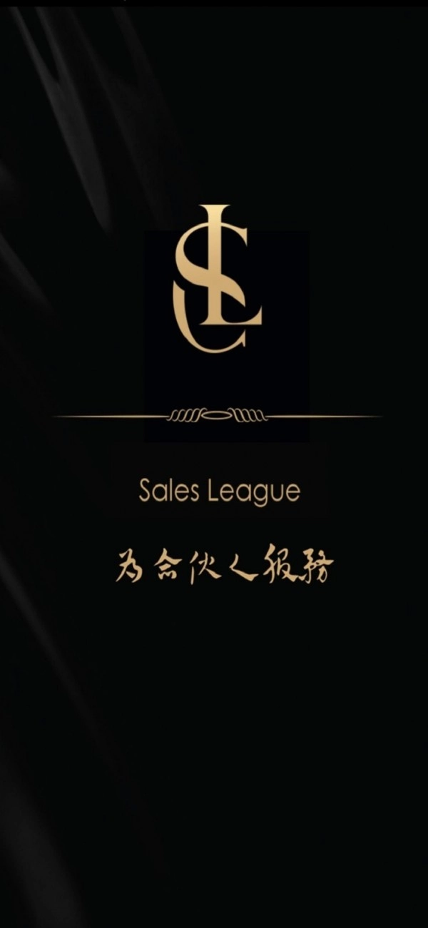 SLConsole手机正版