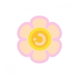 花花收纳正版
