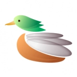 青头潜鸭通用版