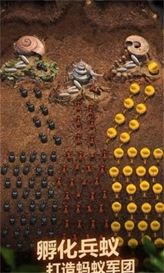 蚂蚁地下王国国际服原版