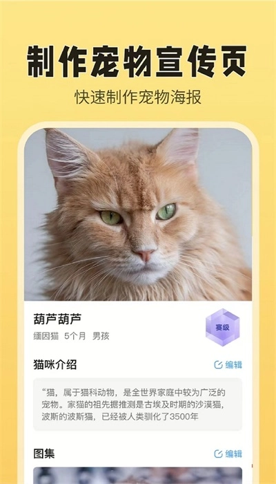 猫老板原版