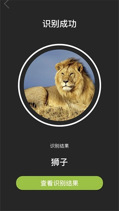 Volnau免费版