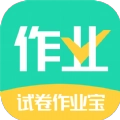 试卷作业宝