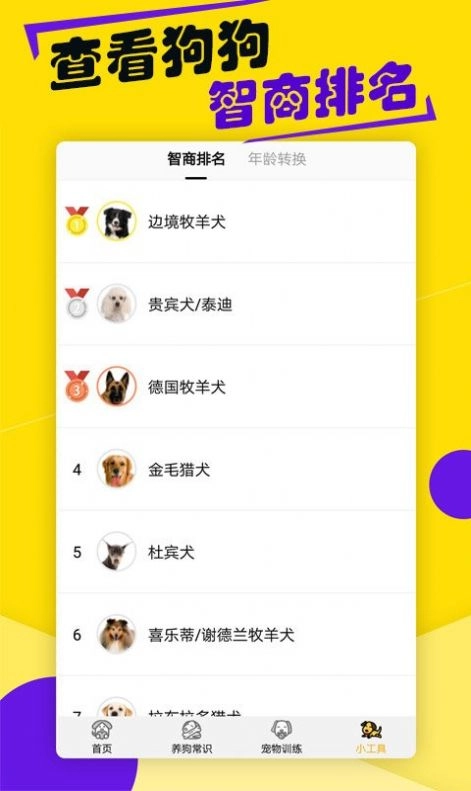 狗语交流翻译器直装版图1