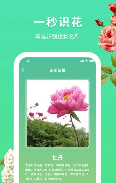 花伴识别无广告版