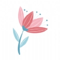 花仙识花草手机版