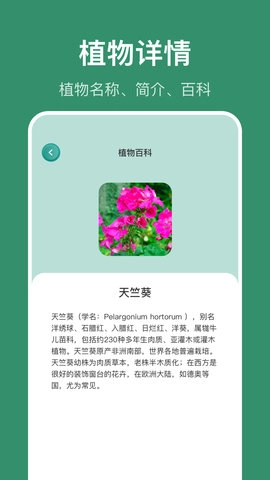 花仙识花草手机版图2