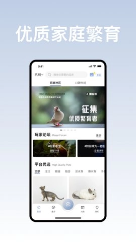 集宠区通用版