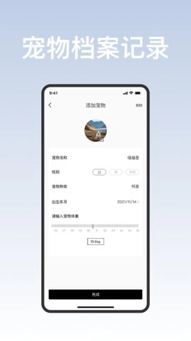 集宠区通用版