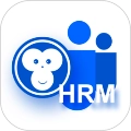 悟空hrm通用版