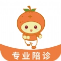 桔小跑陪诊官方最新版