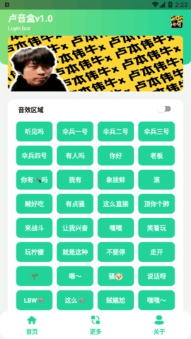 卢本伟语音包直装版