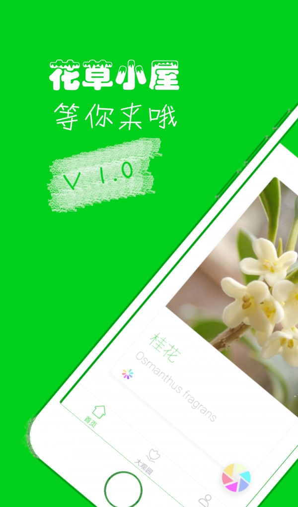 花草小屋无广告版