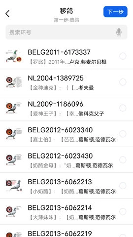 信鸽云原版