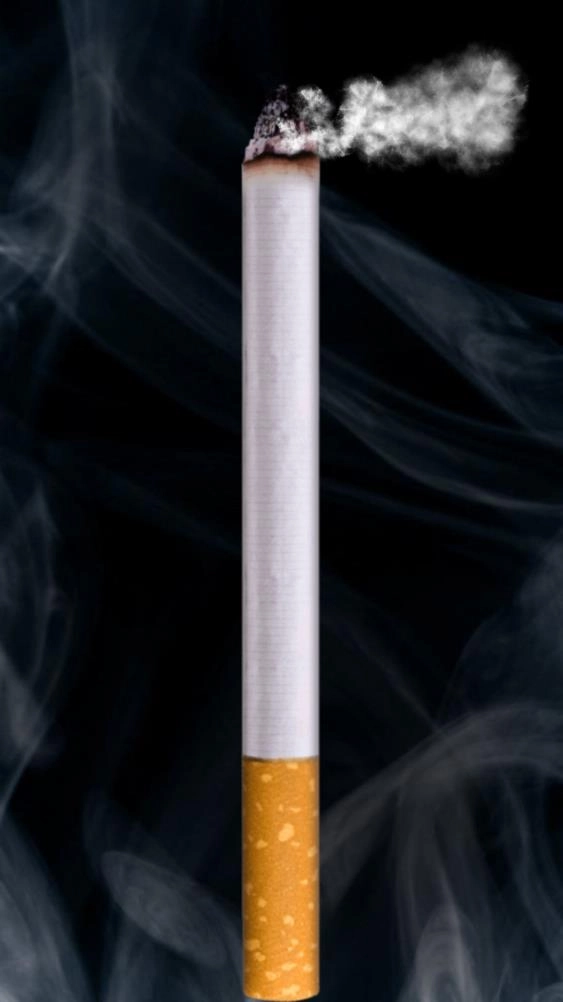 itsmoke软件无广告版图2