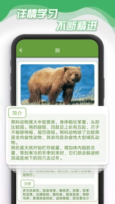小熊削削削免费原版