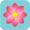 朝花夕识通用版